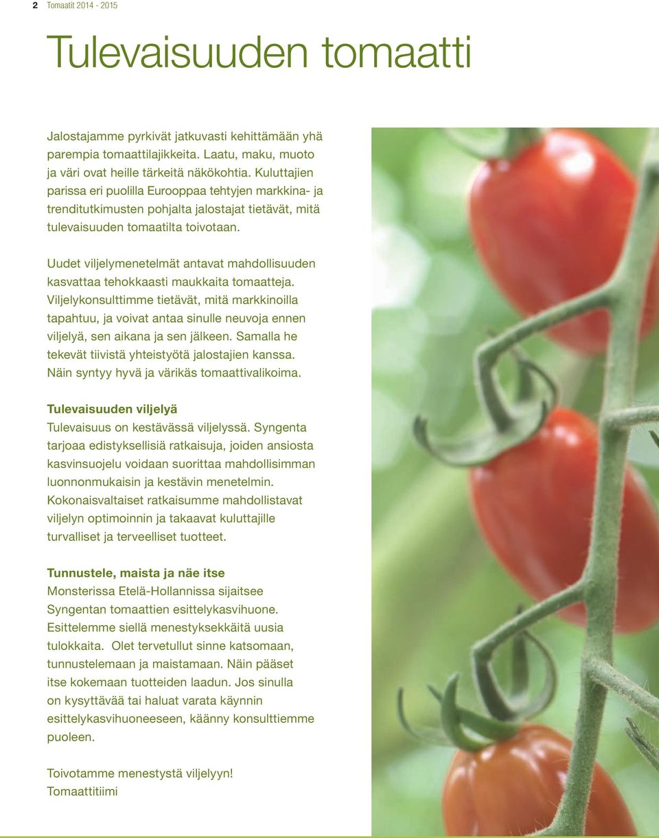 Uudet viljelymenetelmät antavat mahdollisuuden kasvattaa tehokkaasti maukkaita tomaatteja.