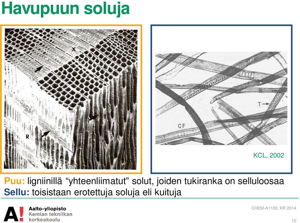 joiden tukiranka on selluloosaa