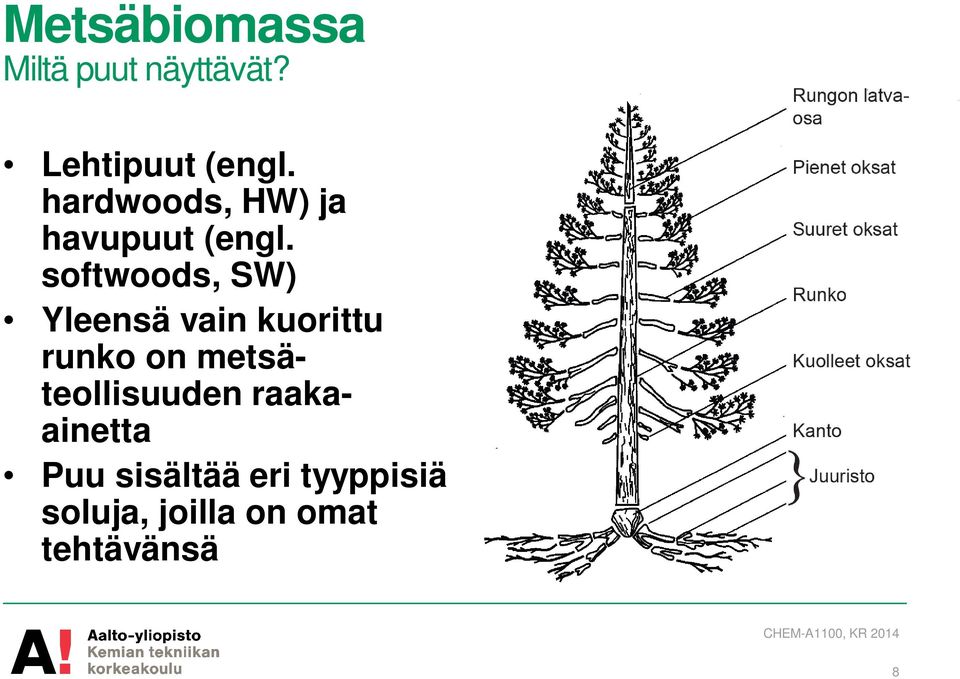 softwoods, SW) Yleensä vain kuorittu runko on