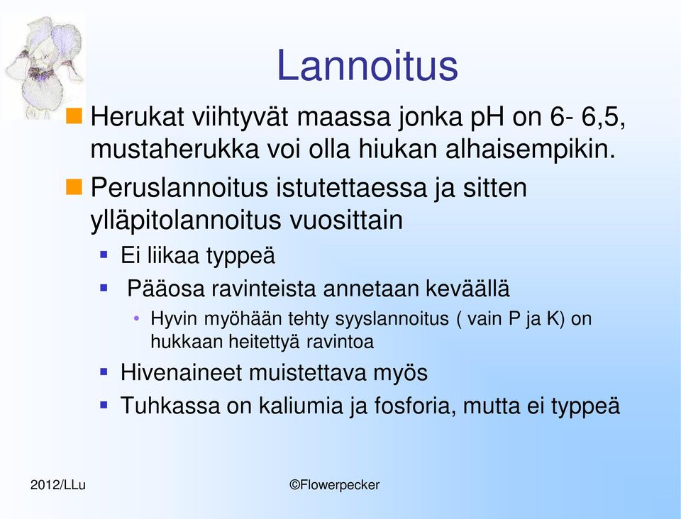 Peruslannoitus istutettaessa ja sitten ylläpitolannoitus vuosittain Ei liikaa typpeä Pääosa