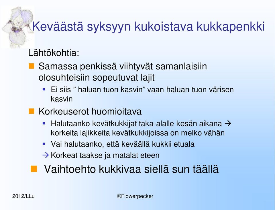 huomioitava Halutaanko kevätkukkijat taka-alalle kesän aikana korkeita lajikkeita kevätkukkijoissa on