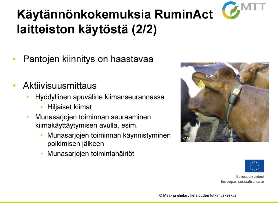 kiimat Munasarjojen toiminnan seuraaminen kiimakäyttäytymisen avulla, esim.