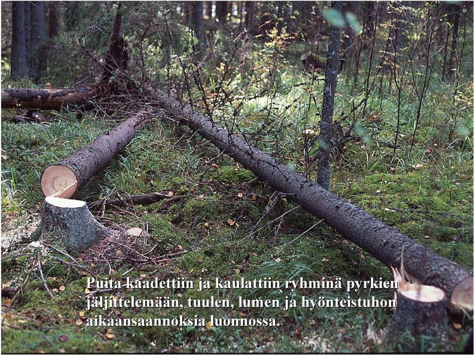 jäljittelemään, tuulen, lumen