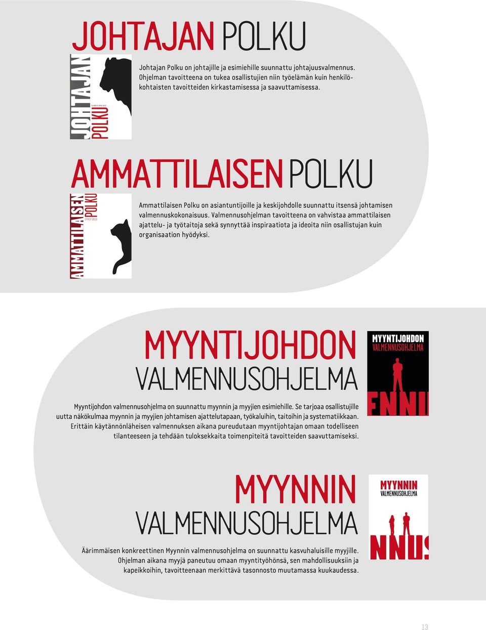 AMMATTILAISEN POLKU AMMATTILAISEN SYKSY 2013POLKU Ammattilaisen Polku on asiantuntijoille ja keskijohdolle suunnattu itsensä johtamisen valmennuskokonaisuus.