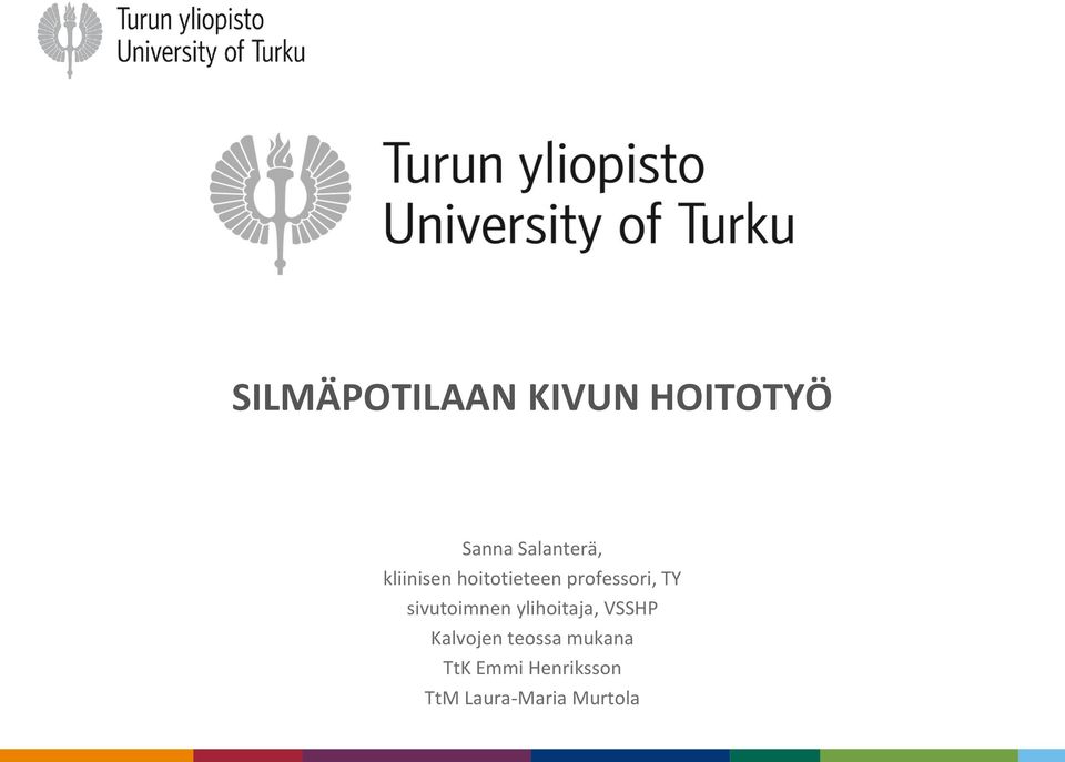 professori, TY sivutoimnen ylihoitaja, VSSHP