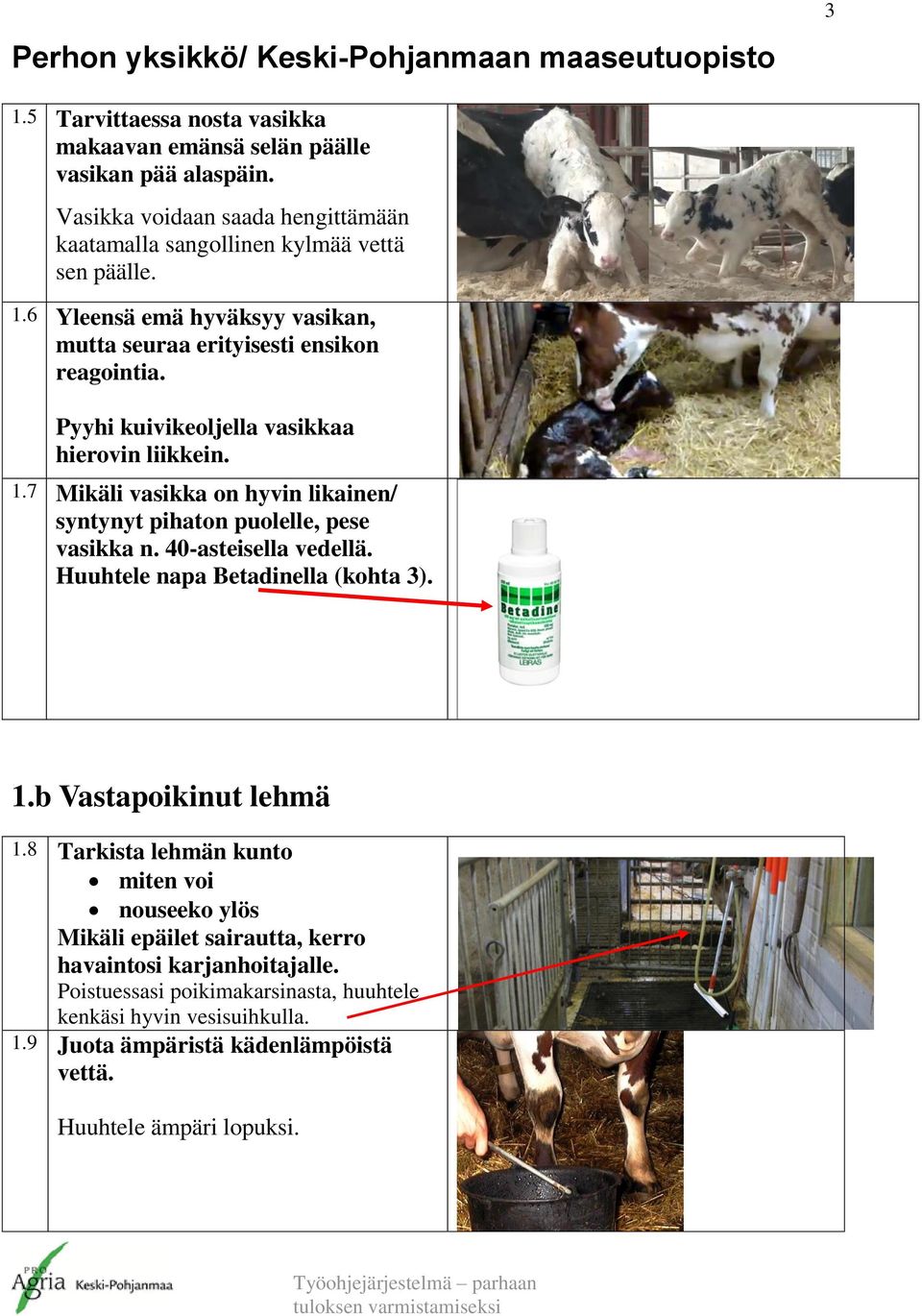 Huuhtele napa Betadinella (kohta 3). 1.b Vastapoikinut lehmä 1.8 Tarkista lehmän kunto miten voi nouseeko ylös Mikäli epäilet sairautta, kerro havaintosi karjanhoitajalle.