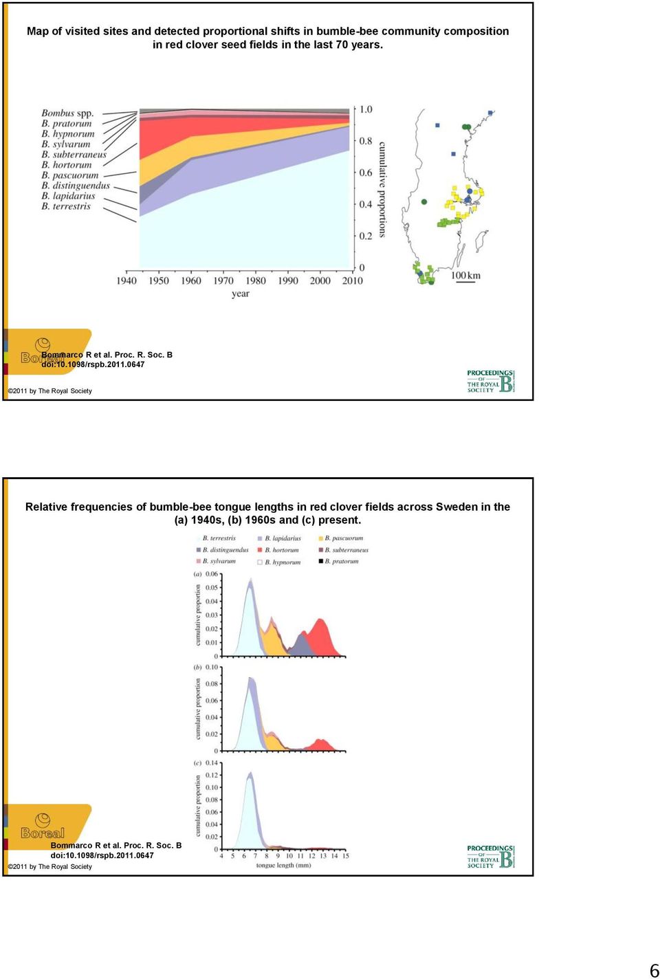 0647 2011 by The Royal Society Relative frequencies of bumble-bee tongue lengths in red clover fields across