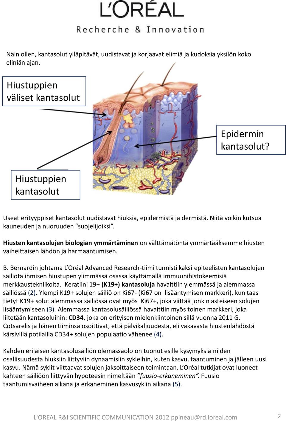 Hiusten kantasolujen biologian ymmärtäminen on välttämätöntä ymmärtääksemme hiusten vaiheittaisen lähdön ja harmaantumisen. B.