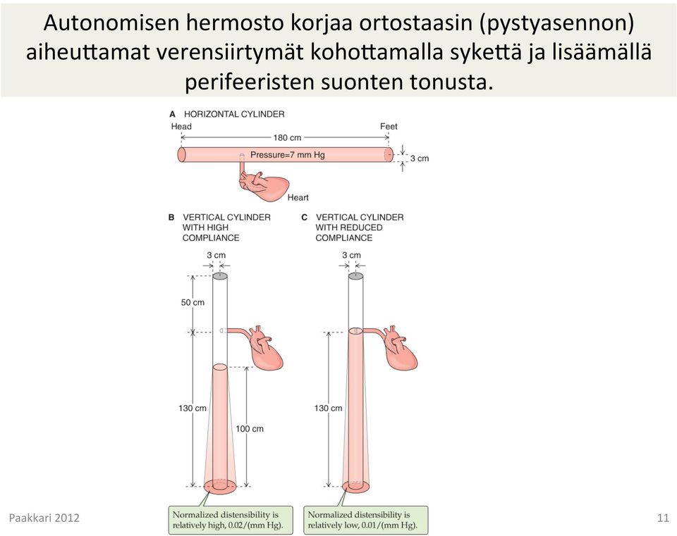 aiheukamat verensiirtymät