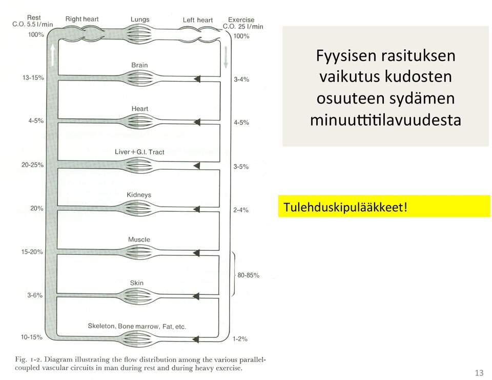 sydämen minuux4lavuudesta