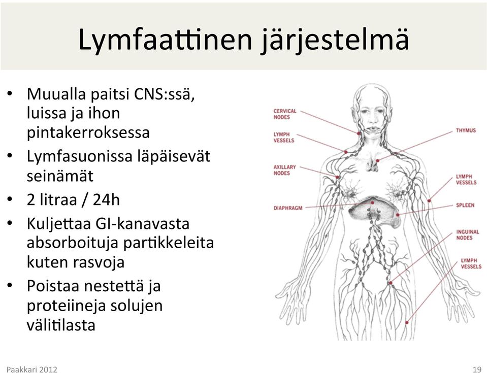 litraa / 24h KuljeKaa GI- kanavasta absorboituja