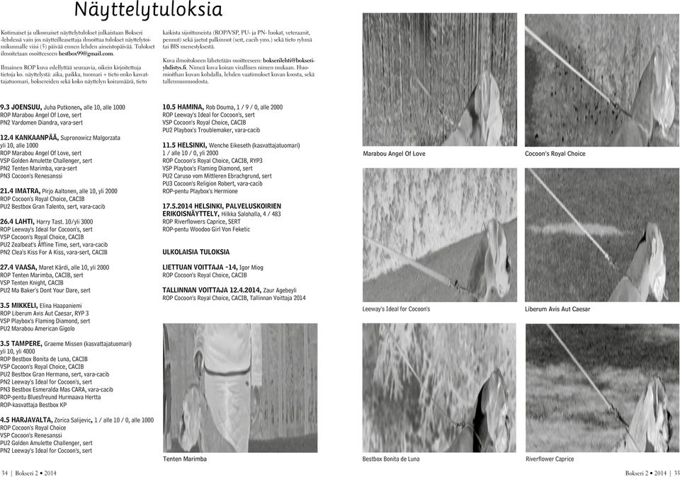 näyttelystä: aika, paikka, tuomari + tieto onko kasvattajatuomari, boksereiden sekä koko näyttelyn koiramäärä, tieto kaikista sijoittuneista (ROP/VSP, PU- ja PN- luokat, veteraanit, pennut) sekä