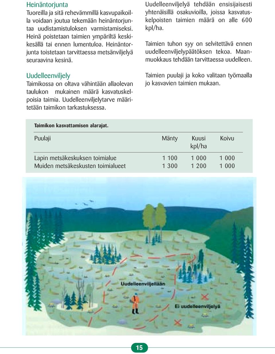 Uudelleenviljely Taimikossa on oltava vähintään allaolevan taulukon mukainen määrä kasvatuskelpoisia taimia. Uudelleenviljelytarve määritetään taimikon tarkastuksessa.