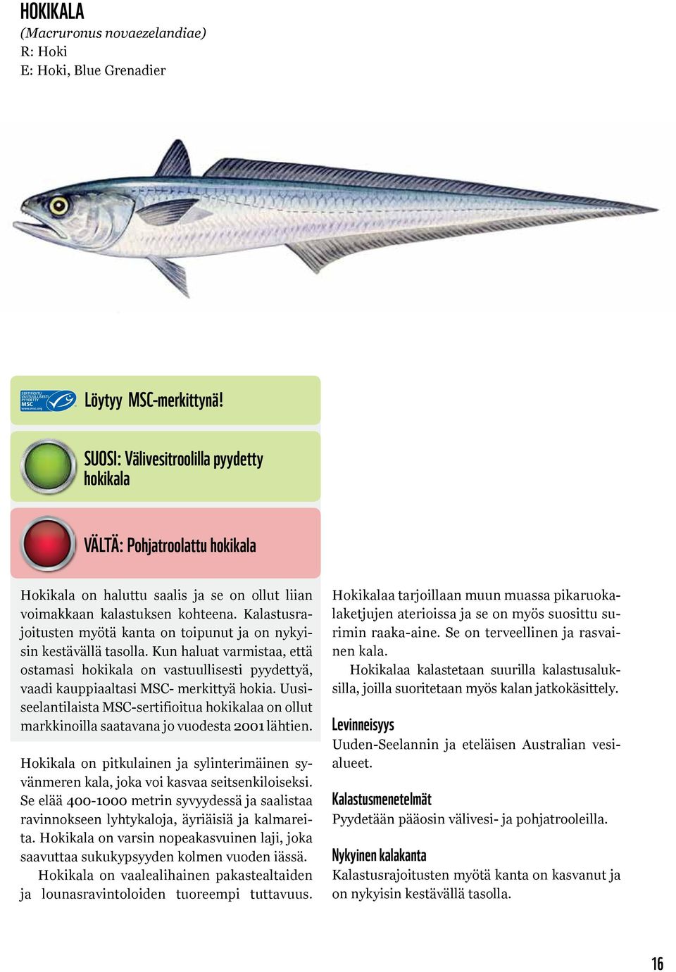 Kalastusrajoitusten myötä kanta on toipunut ja on nykyisin kestävällä tasolla. Kun haluat varmistaa, että ostamasi hokikala on vastuullisesti pyydettyä, vaadi kauppiaaltasi MSC- merkittyä hokia.