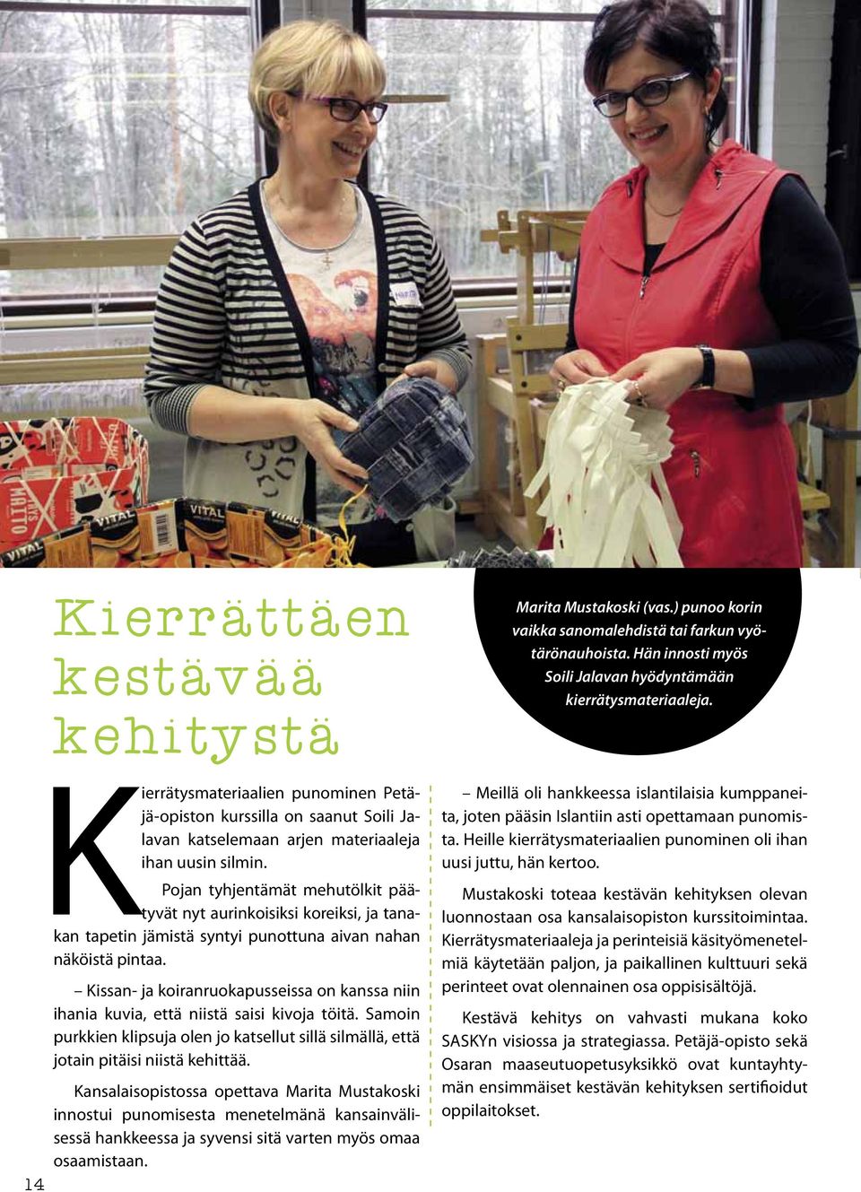 Kissan- ja koiranruokapusseissa on kanssa niin ihania kuvia, että niistä saisi kivoja töitä. Samoin purkkien klipsuja olen jo katsellut sillä silmällä, että jotain pitäisi niistä kehittää.