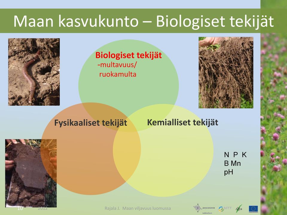 Fysikaaliset tekijät Kemialliset tekijät N