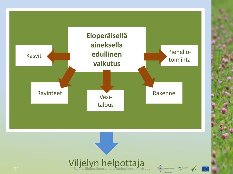 Pieneliötoiminta Ravinteet