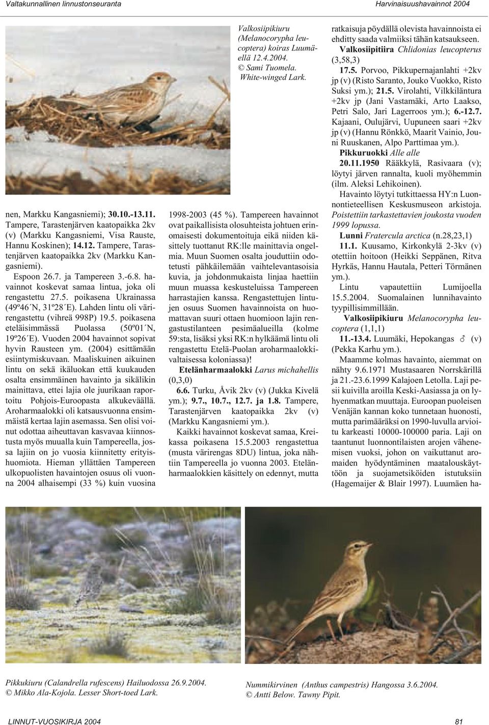 Lahden lintu oli värirengastettu (vihreä 998P) 19.5. poikasena eteläisimmässä Puolassa (50º01 N, 19º26 E). Vuoden 2004 havainnot sopivat hyvin Rausteen ym. (2004) esittämään esiintymiskuvaan.