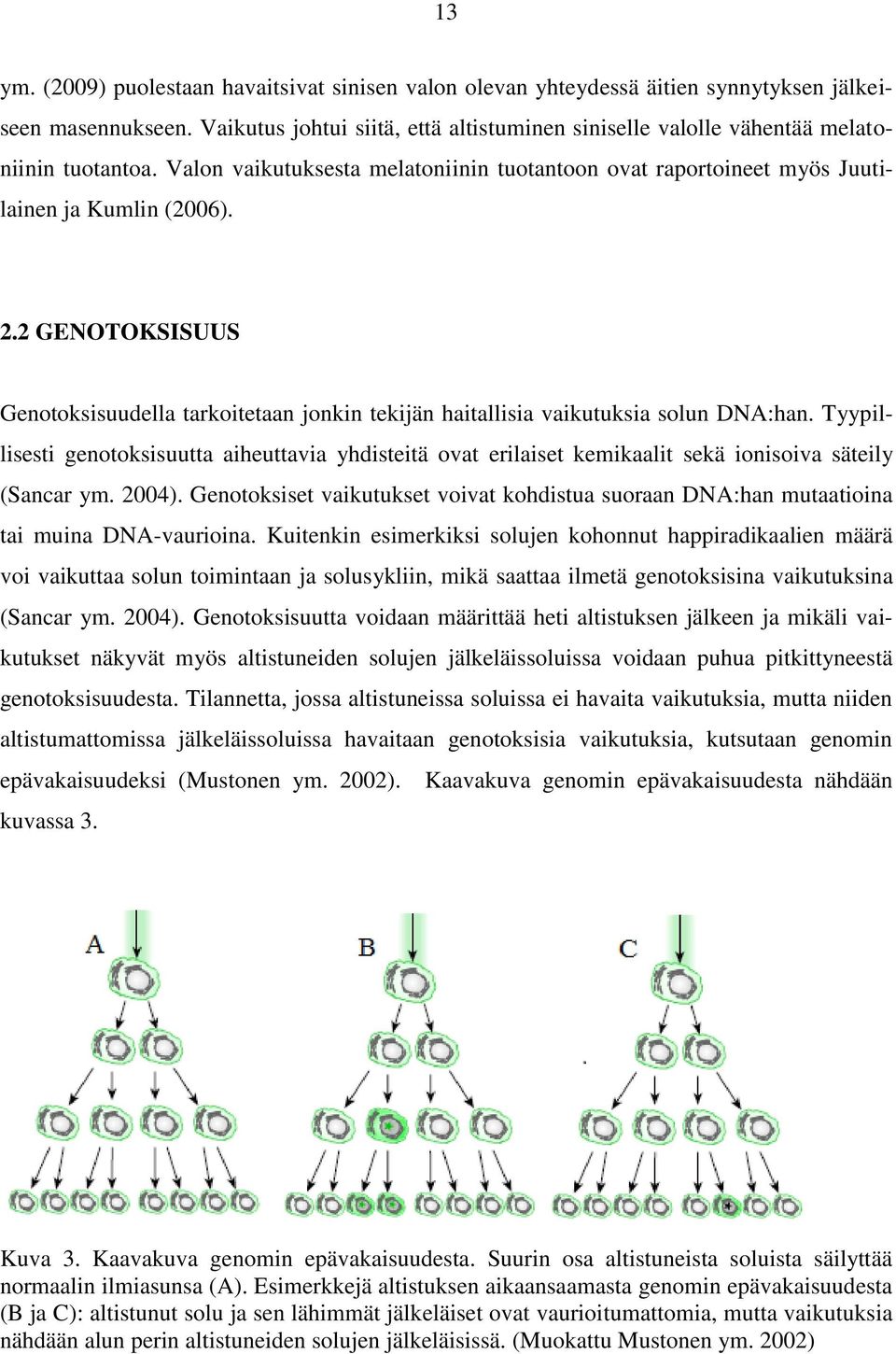 2 GENOTOKSISUUS Genotoksisuudella tarkoitetaan jonkin tekijän haitallisia vaikutuksia solun DNA:han.