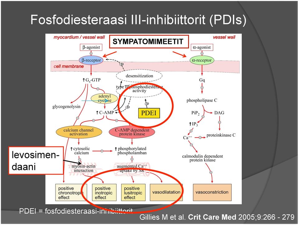 PDEI = fosfodiesteraasi-inhibiittorit