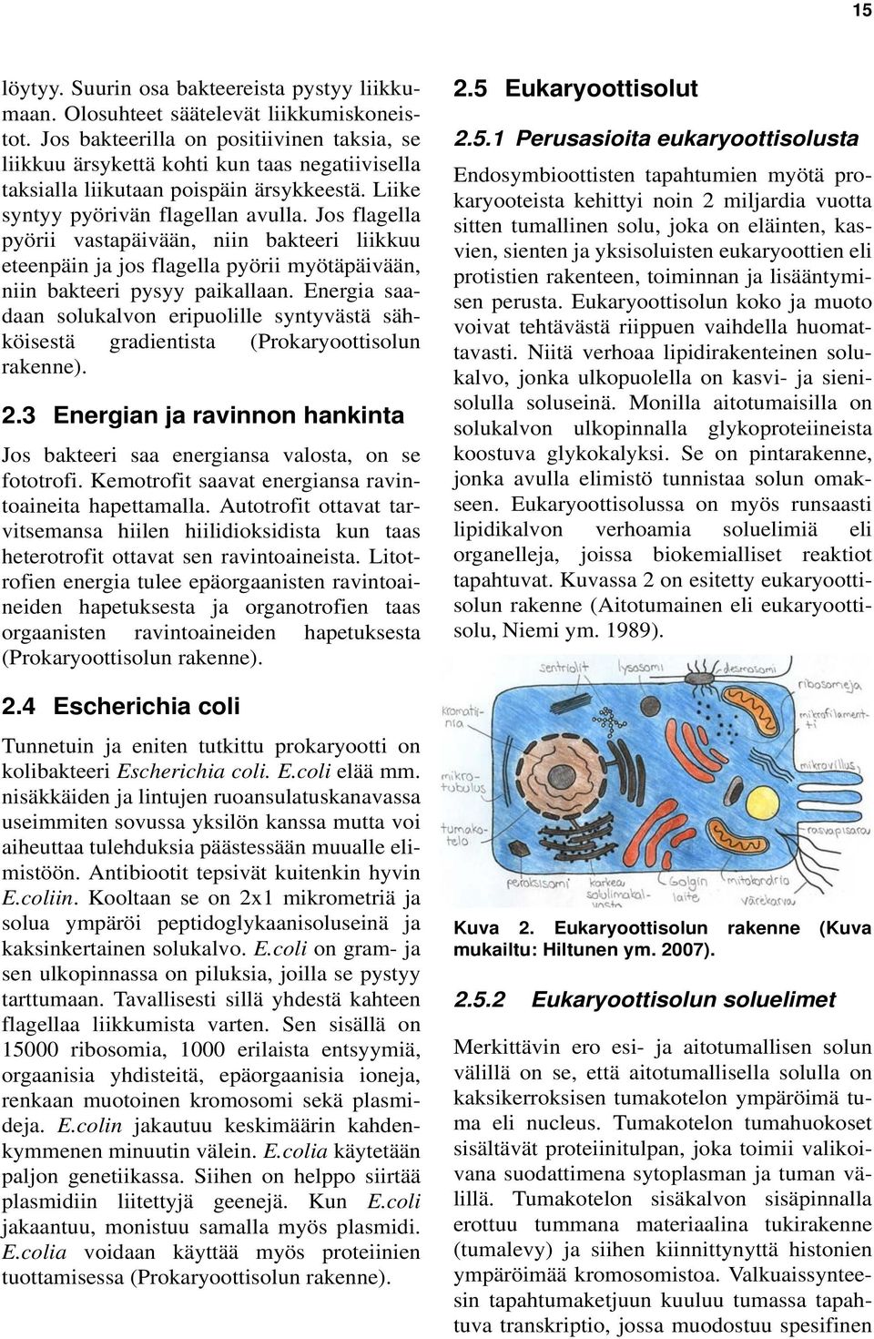 Jos flagella pyörii vastapäivään, niin bakteeri liikkuu eteenpäin ja jos flagella pyörii myötäpäivään, niin bakteeri pysyy paikallaan.