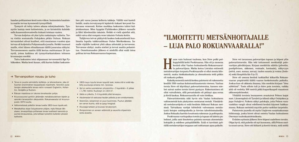 Kruununpuistot pyrittiin jättämään metsätaloudellisen käytön ja varsinkin tervanpolton ulkopuolelle. Rokuanvaarasta tuli kruununpuisto 1870-luvulla.