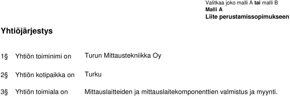 Turun Mittaustekniikka Oy 2 Yhtiön kotipaikka on Turku 3