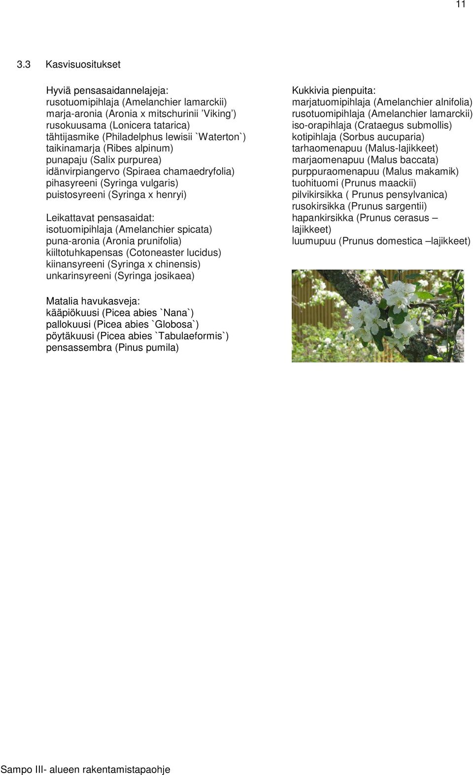pensasaidat: isotuomipihlaja (Amelanchier spicata) puna-aronia (Aronia prunifolia) kiiltotuhkapensas (Cotoneaster lucidus) kiinansyreeni (Syringa x chinensis) unkarinsyreeni (Syringa josikaea)