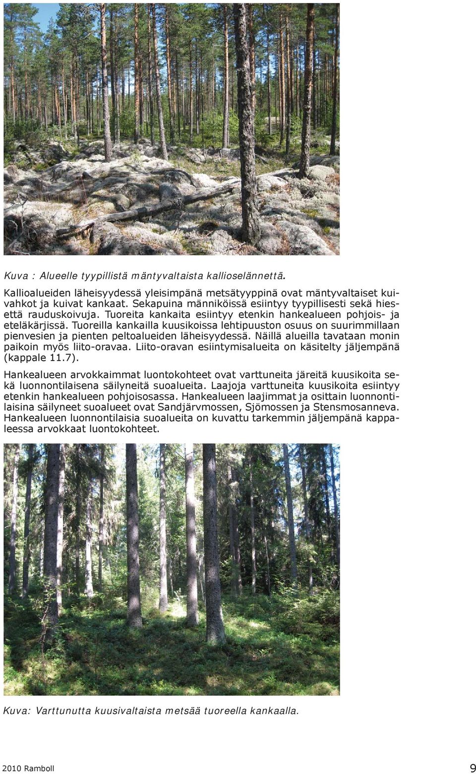 Tuoreilla kankailla kuusikoissa lehtipuuston osuus on suurimmillaan pienvesien ja pienten peltoalueiden läheisyydessä. Näillä alueilla tavataan monin paikoin myös liito-oravaa.