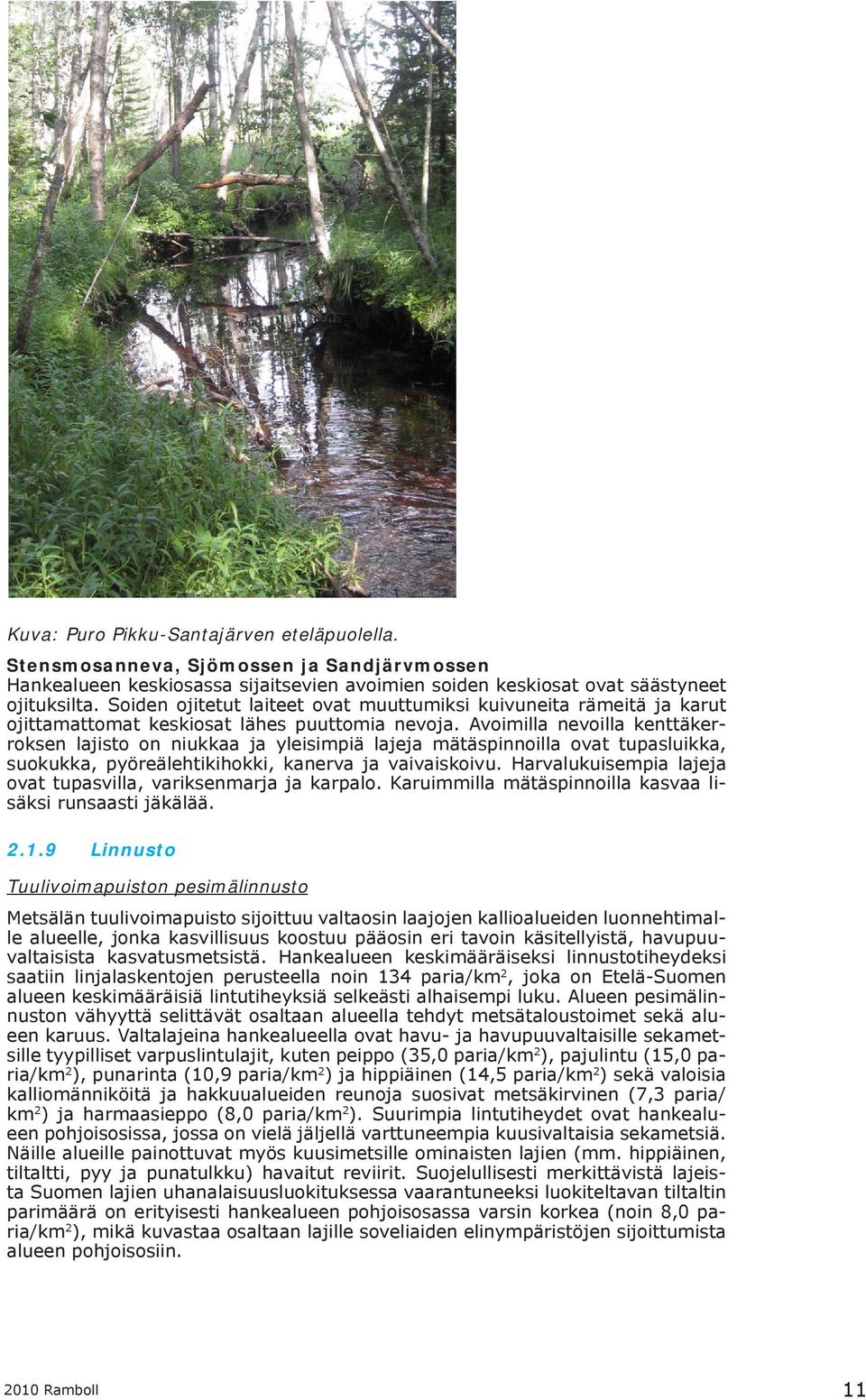 Avoimilla nevoilla kenttäkerroksen lajisto on niukkaa ja yleisimpiä lajeja mätäspinnoilla ovat tupasluikka, suokukka, pyöreälehtikihokki, kanerva ja vaivaiskoivu.