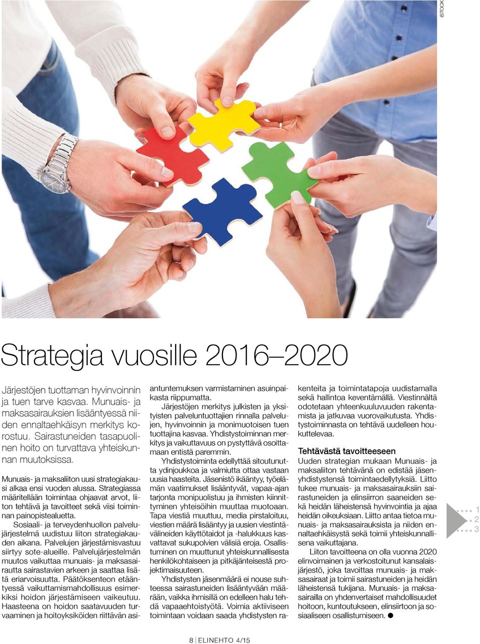 Strategiassa määritellään toimintaa ohjaavat arvot, liiton tehtävä ja tavoitteet sekä viisi toiminnan painopistealuetta.