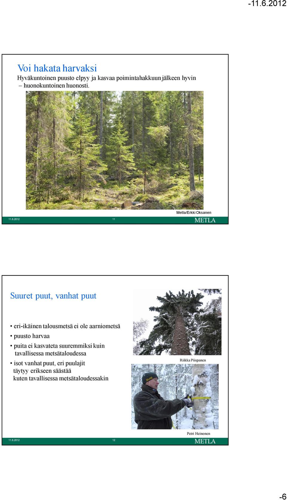 2012 11 Metla/Erkki Oksanen Suuret puut, vanhat puut eri ikäinen talousmetsä ei ole aarniometsä puusto