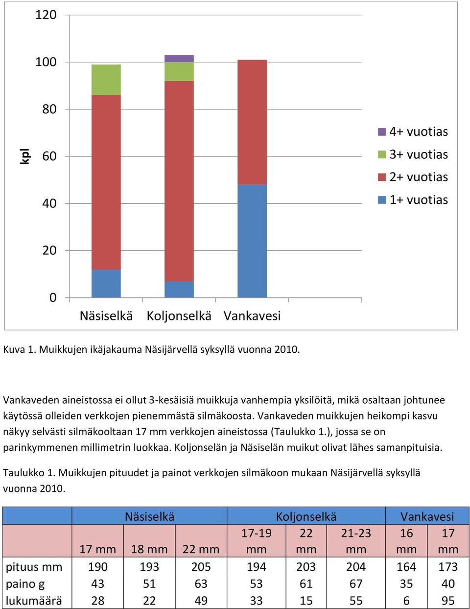 Vankaveden muikkujen heikompi kasvu näkyy selvästi silmäkooltaan 17 verkkojen aineistossa (Taulukko 1.), jossa se on parinkyenen millimetrin luokkaa.