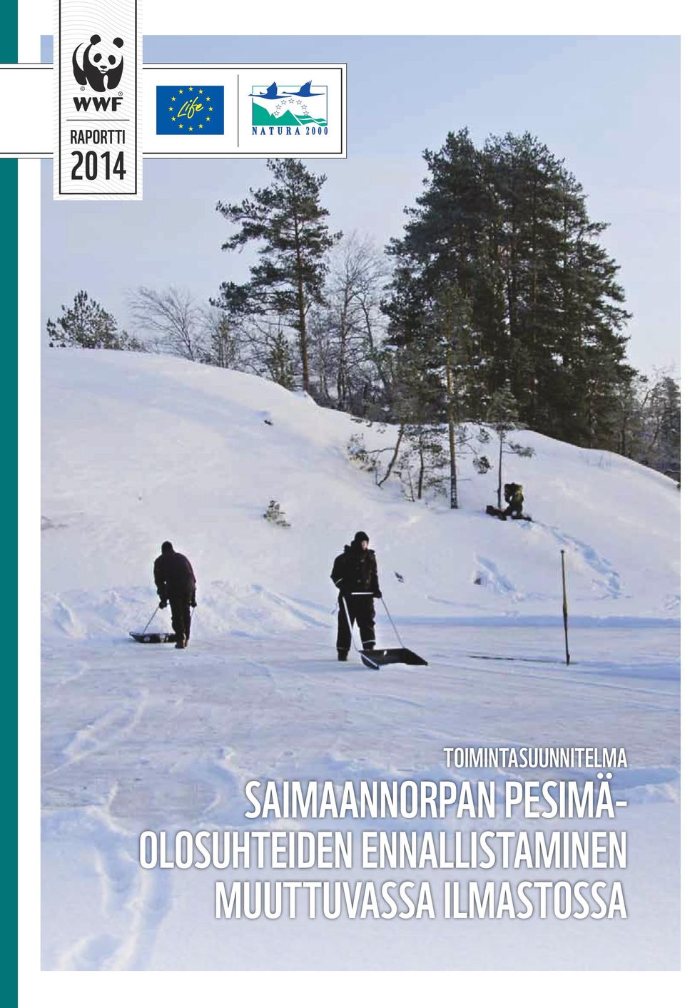 Saimaannorpan