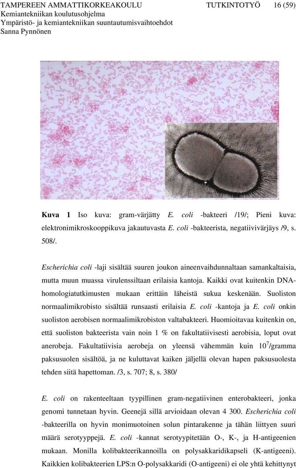 Kaikki ovat kuitenkin DNAhomologiatutkimusten mukaan erittäin läheistä sukua keskenään. Suoliston normaalimikrobisto sisältää runsaasti erilaisia E. coli -kantoja ja E.