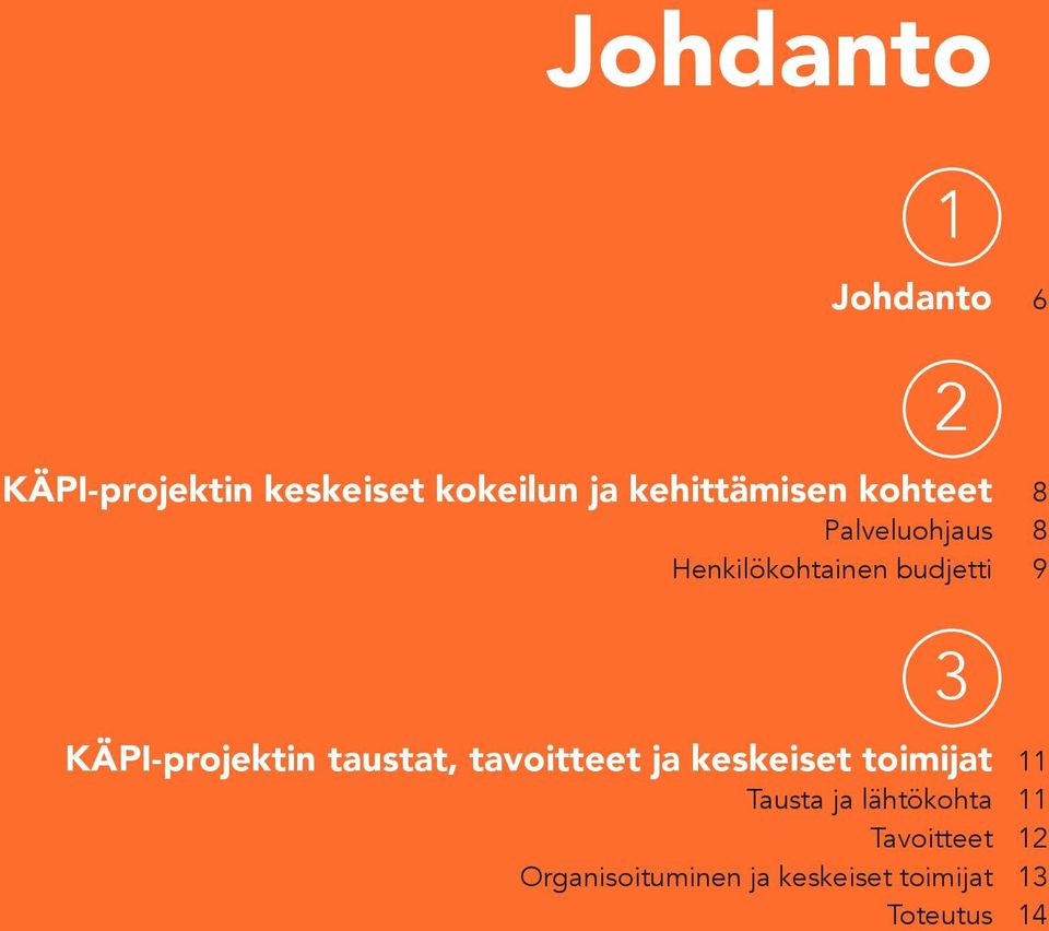 KÄPI-projektin taustat, tavoitteet ja keskeiset toimijat 11 Tausta ja