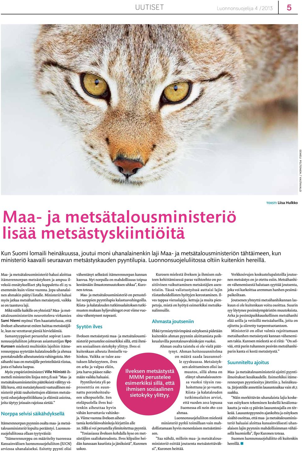 Maa- ja metsätalousministeriö halusi aloittaa itämerennorpan metsästyksen ja ampua ilveksiä ennätykselliset 589 kappaletta eli 25 % enemmän kuin viime vuonna. Jopa uhanalainen ahmakin päätyi listalle.