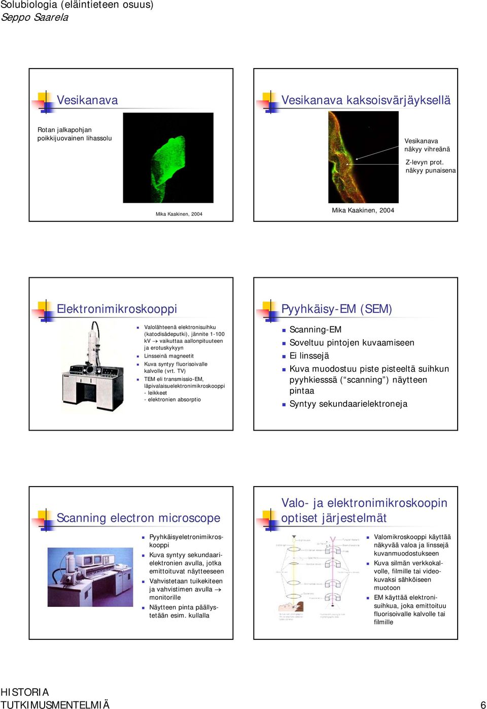 magneetit Kuva syntyy fluorisoivalle kalvolle (vrt.