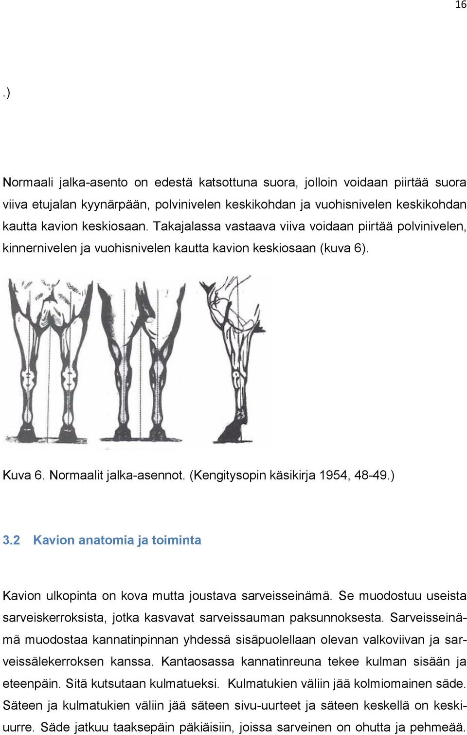 2 Kavion anatomia ja toiminta Kavion ulkopinta on kova mutta joustava sarveisseinämä. Se muodostuu useista sarveiskerroksista, jotka kasvavat sarveissauman paksunnoksesta.