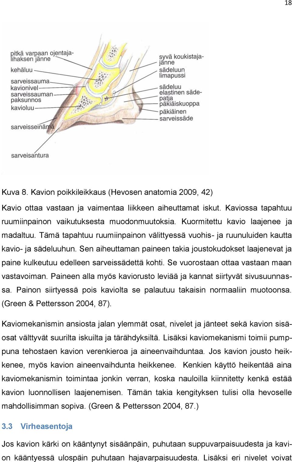 Sen aiheuttaman paineen takia joustokudokset laajenevat ja paine kulkeutuu edelleen sarveissädettä kohti. Se vuorostaan ottaa vastaan maan vastavoiman.