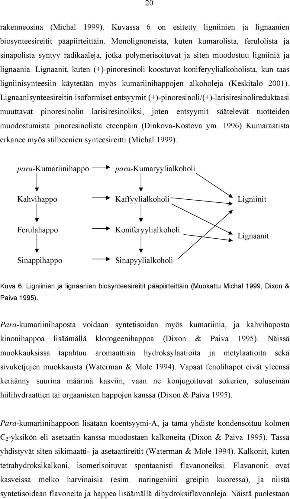 Lignaanit, kuten (+)-pinoresinoli koostuvat koniferyylialkoholista, kun taas ligniinisynteesiin käytetään myös kumariinihappojen alkoholeja (Keskitalo 2001).