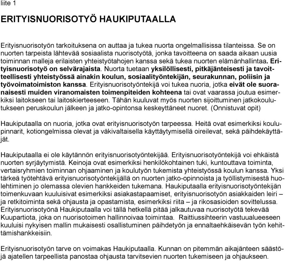 Erityisnuorisotyö on selvärajaista.