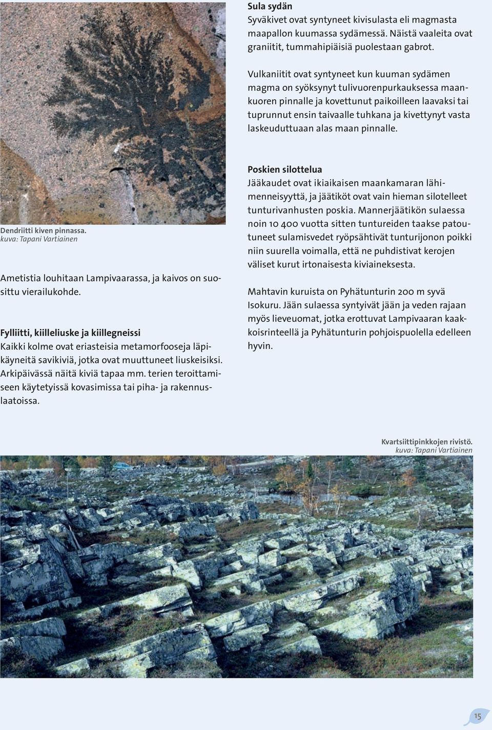 vasta laskeuduttuaan alas maan pinnalle. Dendriitti kiven pinnassa. kuva: Tapani Vartiainen Ametistia louhitaan Lampivaarassa, ja kaivos on suosittu vierailukohde.