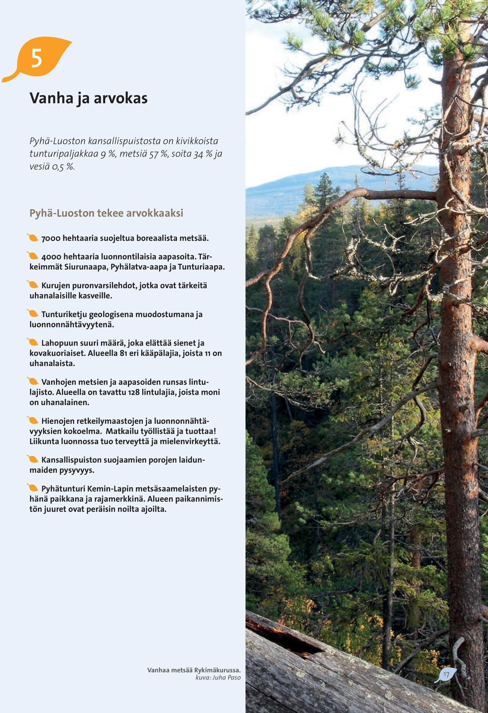 Kurujen puronvarsilehdot, jotka ovat tärkeitä uhanalaisille kasveille. Tunturiketju geologisena muodostumana ja luonnonnähtävyytenä. Lahopuun suuri määrä, joka elättää sienet ja kova kuoriaiset.
