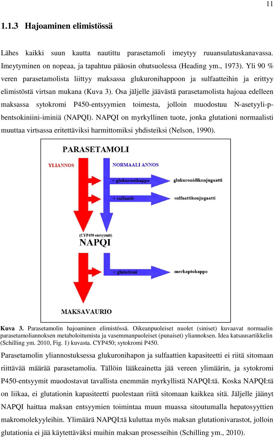 Osa jäljelle jäävästä parasetamolista hajoaa edelleen maksassa sytokromi P450-entsyymien toimesta, jolloin muodostuu N-asetyyli-pbentsokiniini-iminiä (NAPQI).