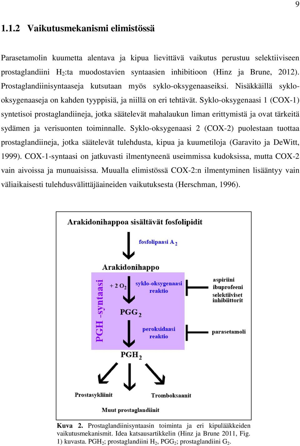 Syklo-oksygenaasi 1 (COX-1) syntetisoi prostaglandiineja, jotka säätelevät mahalaukun liman erittymistä ja ovat tärkeitä sydämen ja verisuonten toiminnalle.