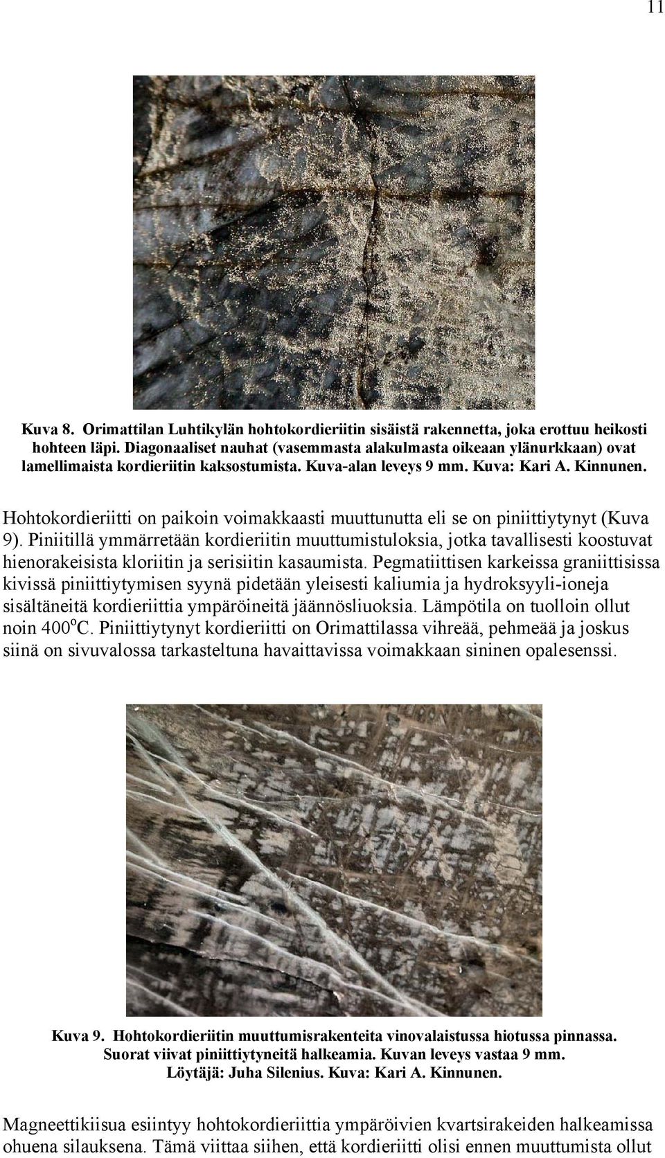 Hohtokordieriitti on paikoin voimakkaasti muuttunutta eli se on piniittiytynyt (Kuva 9).