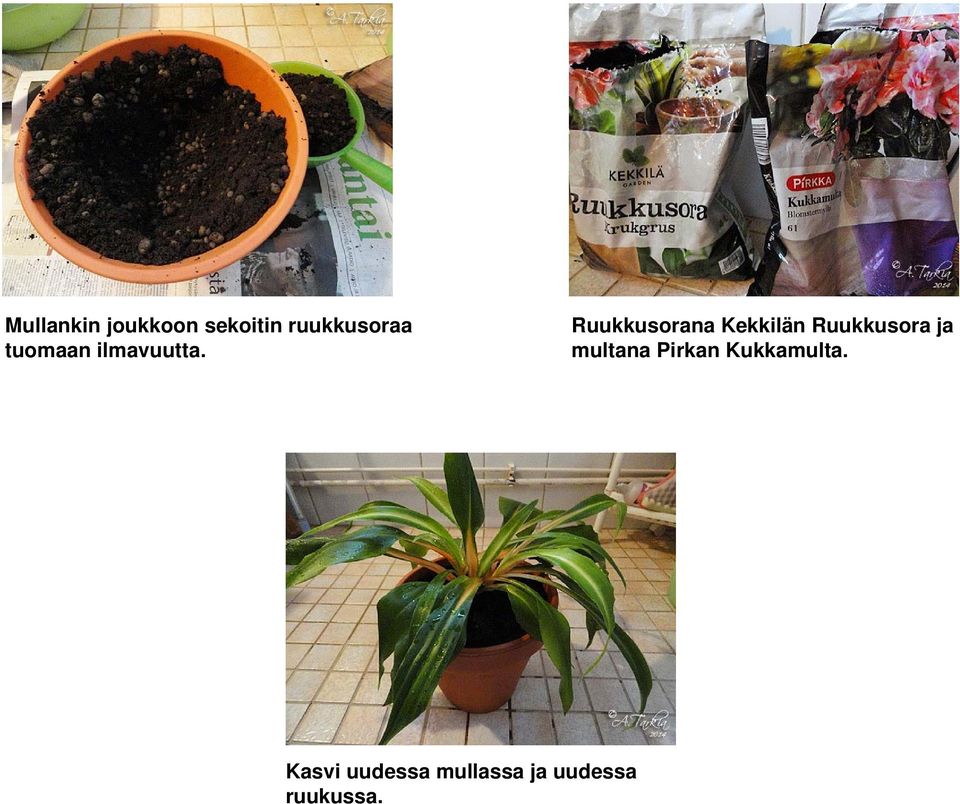 Ruukkusorana Kekkilän Ruukkusora ja