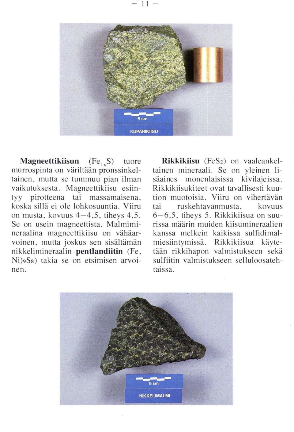 Malmimineraalina magneettikiisu on vähäarvoinen, mutta joskus sen sisältämän nikkelil11ineraalin pentlandiitin (Fe, Ni)9SS) takia se on etsimisen arvoinen.