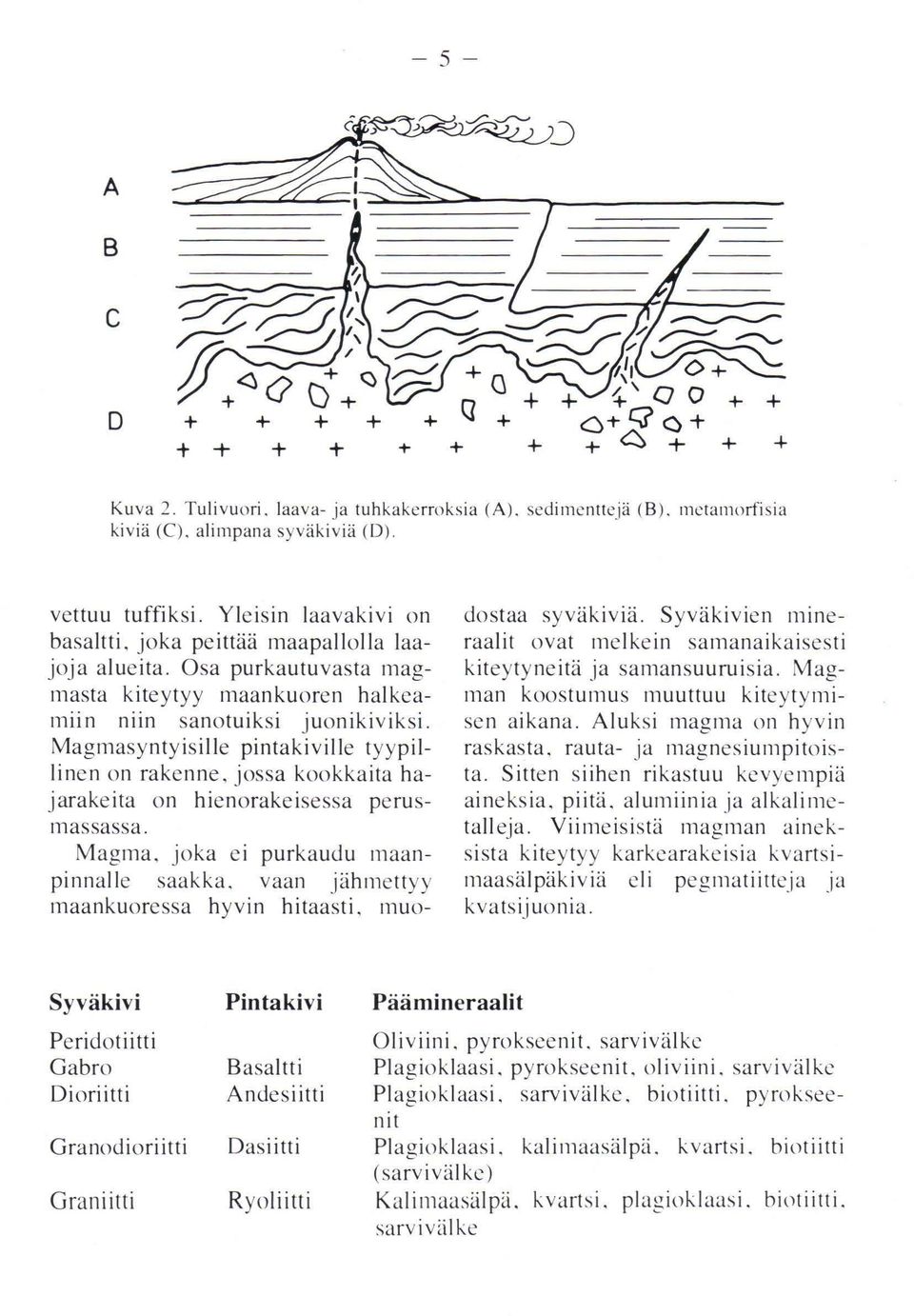 Magmasyntyisille pintakiville tyypillincn on rakenne, jossa kookkaita hajarakeita on hienorakeisessa perus Illassassa. Magma. joka ci purkaudu ll1aanpinnalle saakka.